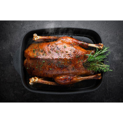 Roaster | Eco Logic QXR