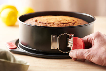 Finished sponge cake released from a Woll springform pan